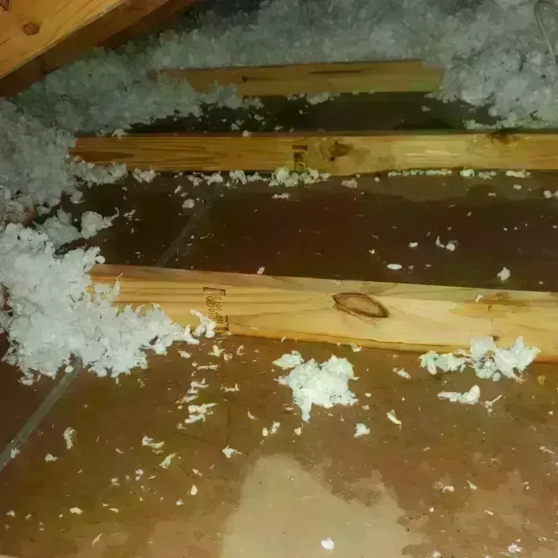 Attic Water Damage in Whitfield County, GA