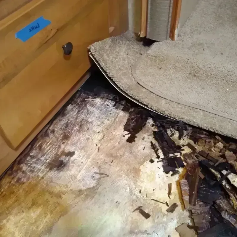 Best Wood Floor Water Damage Service in Whitfield County, GA